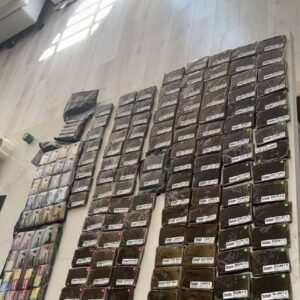 OTHERS TOP HASH BRAND